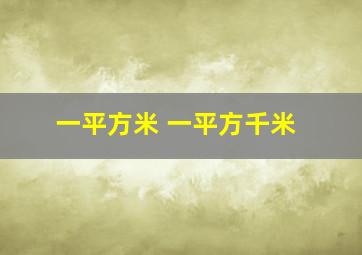 一平方米 一平方千米